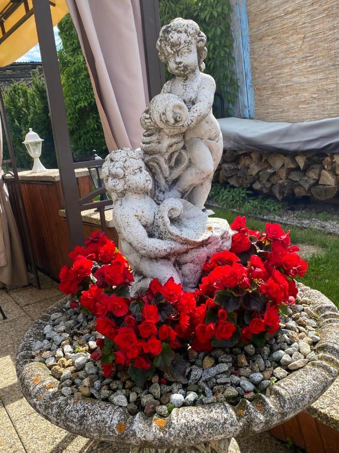 Penzion Vila Petra Bed&Breakfast Veľký Slavkov Eksteriør billede